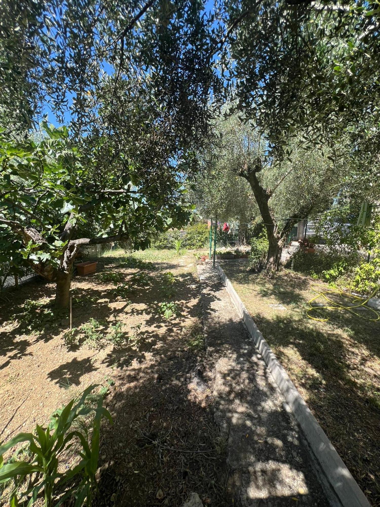 פרוג'ה La Locanda Delle Idee Santa Lucia מראה חיצוני תמונה